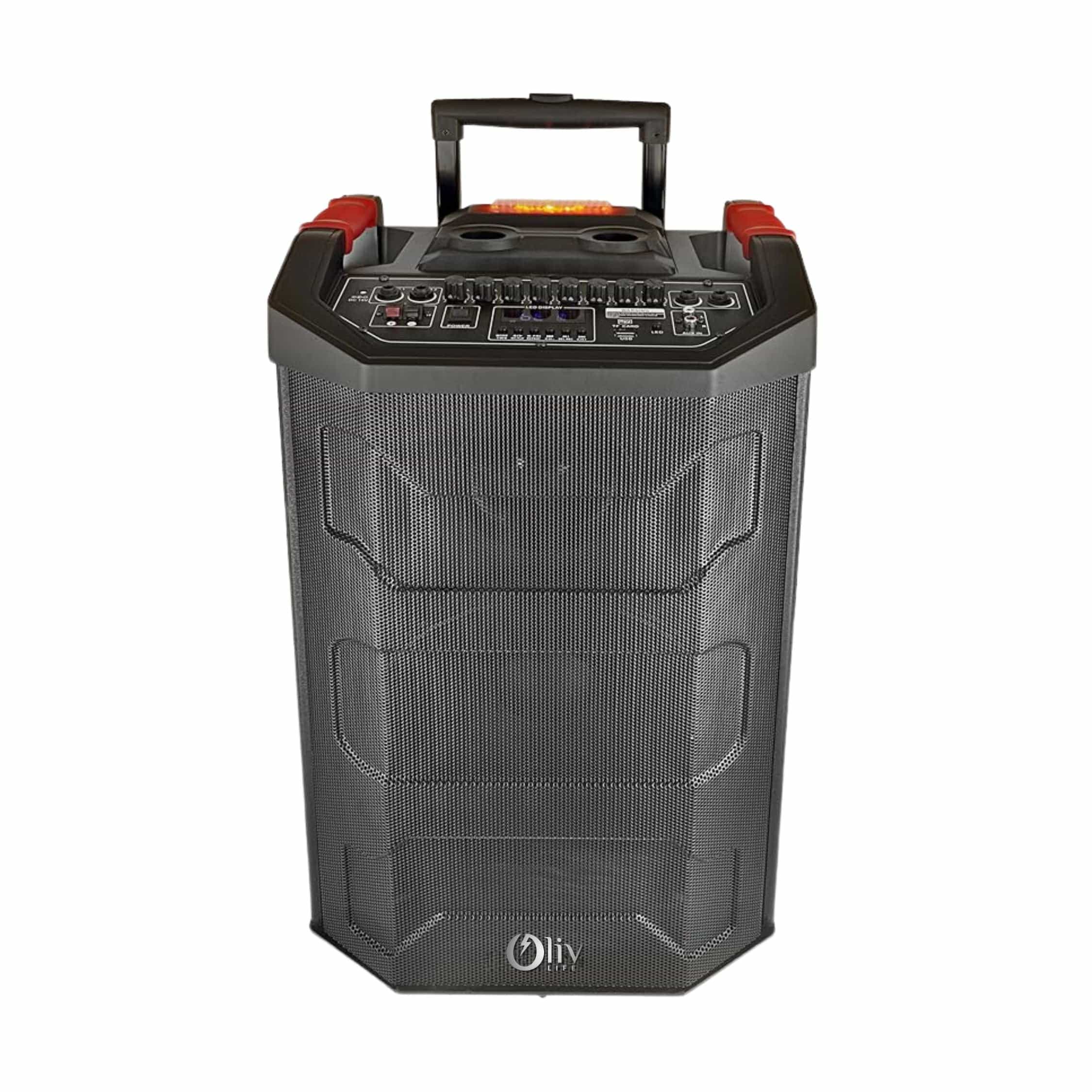 OlivLife 100W Bluetooth Trolley Speaker with Wireless Mics & FM Radio